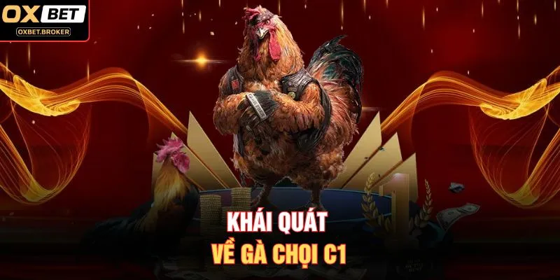 Khái quát về gà chọi C1
