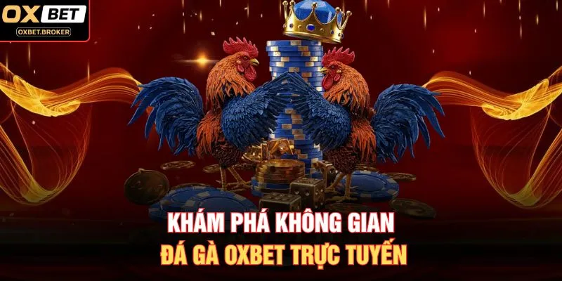 Khám phá không gian đá gà OXBET trực tuyến