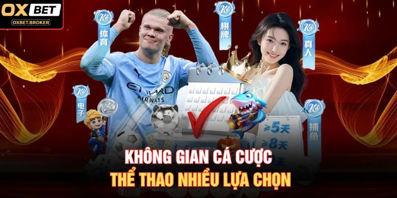 Không gian cá cược thể thao nhiều lựa chọn