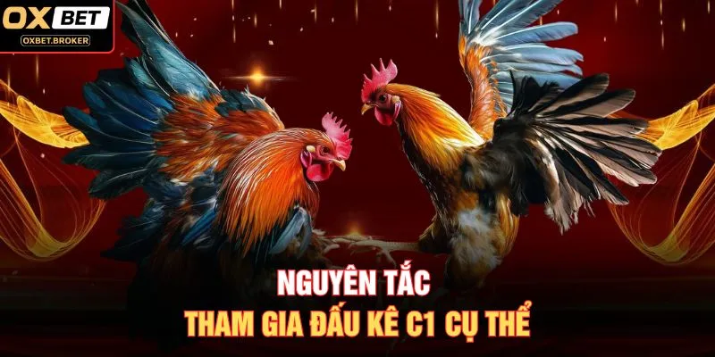 Nguyên tắc tham gia đấu kê C1 cụ thể